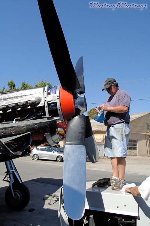 P-51 Mustang
