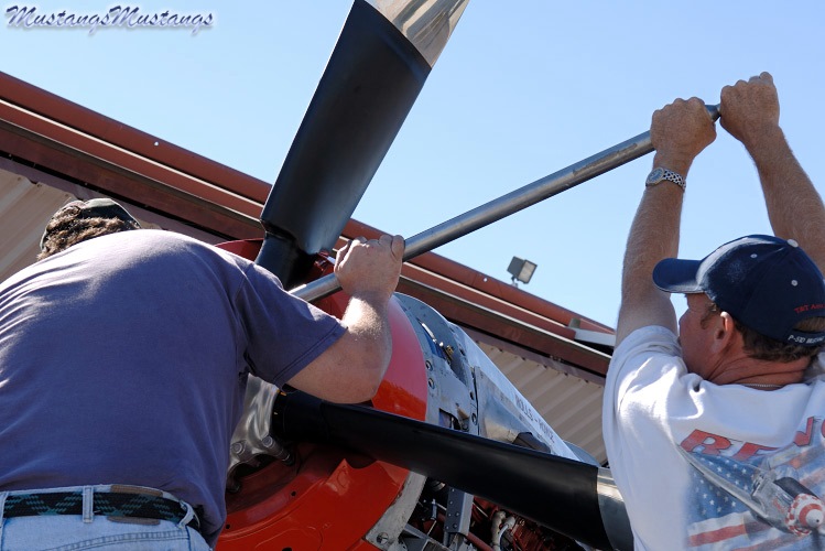 P-51 Mustang