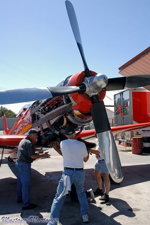 P-51 Mustang