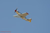 RN6_7818wpt
