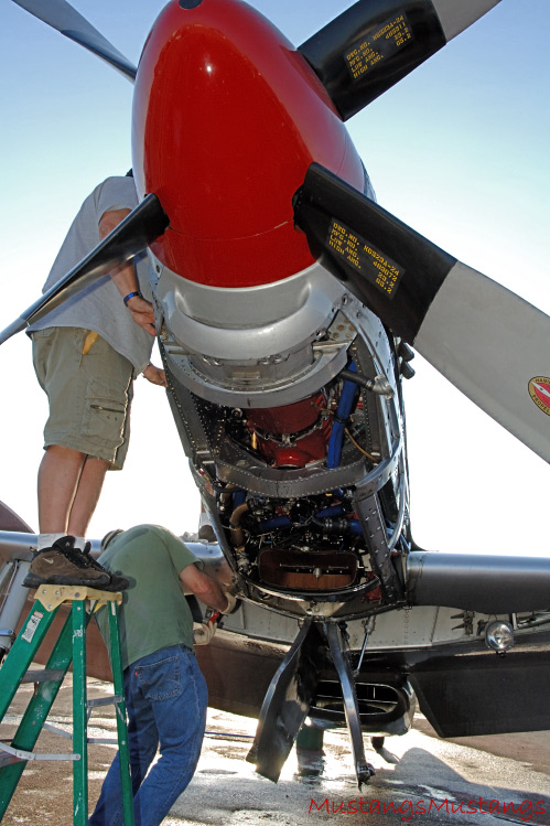 P-51 Mustang