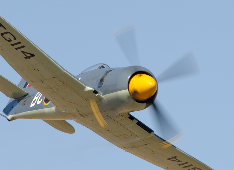 P-51 Mustang