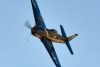 RN5_6813t