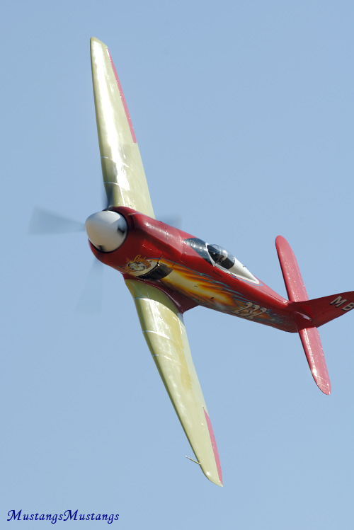 P-51 Mustang