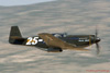 RN6_7153wpt