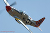 RN6_8408wpt