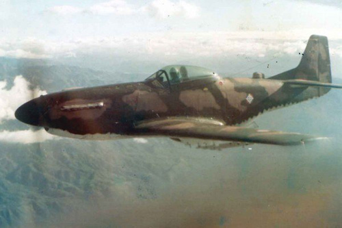 P-51 Mustang at WWII P-51s