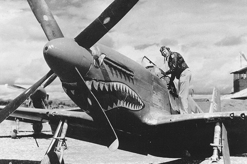 P-51 Mustang at WWII P-51s