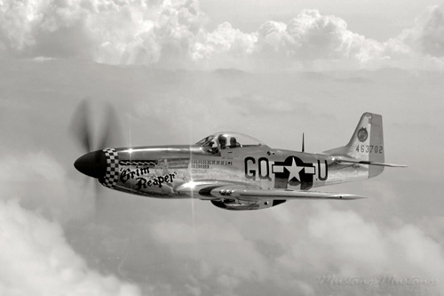 P-51 Mustang at Black & White