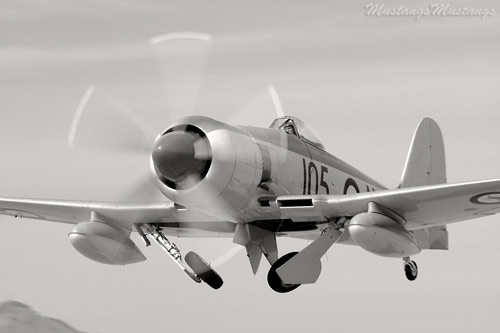 P-51 Mustang at Black & White