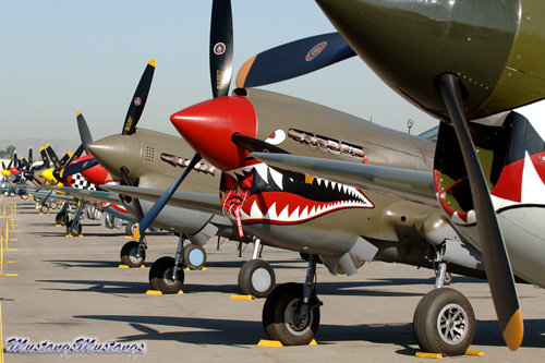 P-51 Mustang at Warbirds