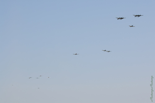 P-51 Mustang at Chino 2007