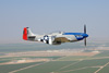 MF8_1850t.jpg