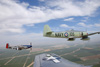 MF8_1646t.jpg