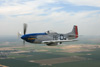 MF8_1671dt.jpg