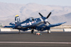Reno_2014-30930t.jpg