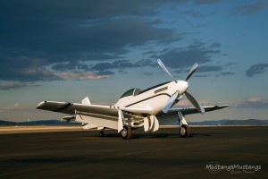 P-51 Mustang