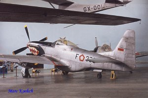 P-51 Survivor IAF338b