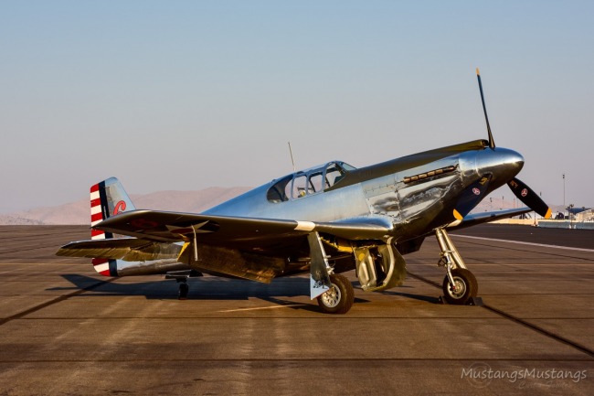 P-51 Survivor 43-6006 N51Z