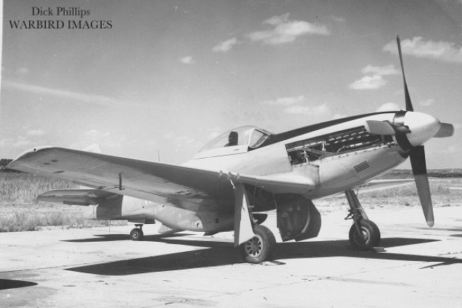 P-51 Survivor 44-72291 N614OU