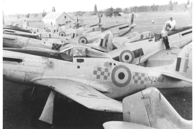 P-51 Survivor 45-11504 