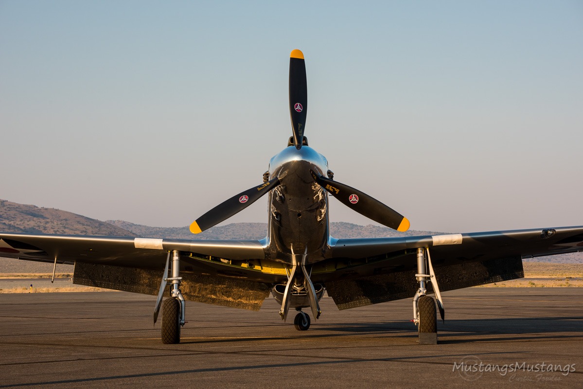 43-6006_9535_cf1.jpg