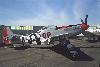 P-51