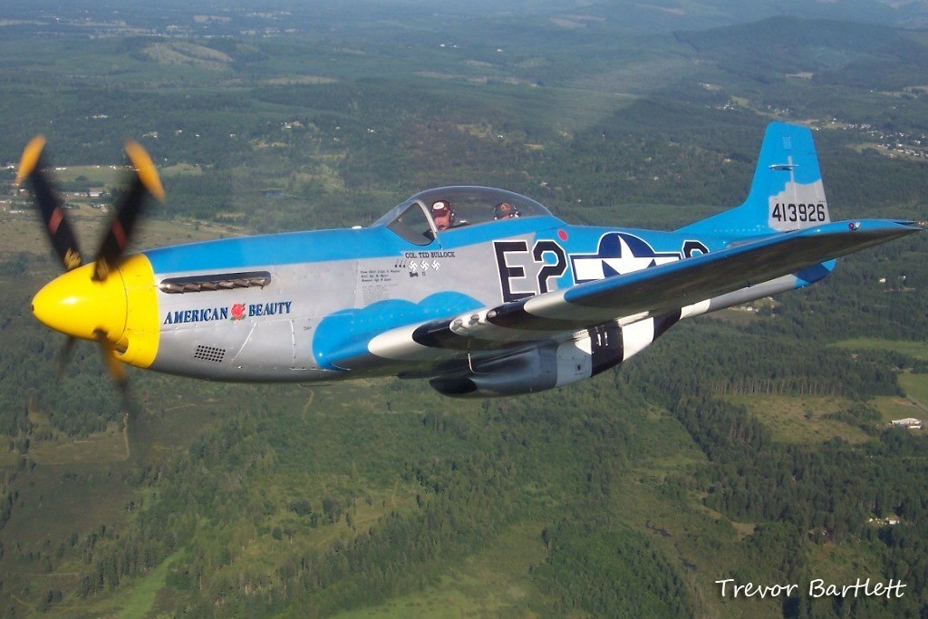 44-73436_8277_tb1.jpg
