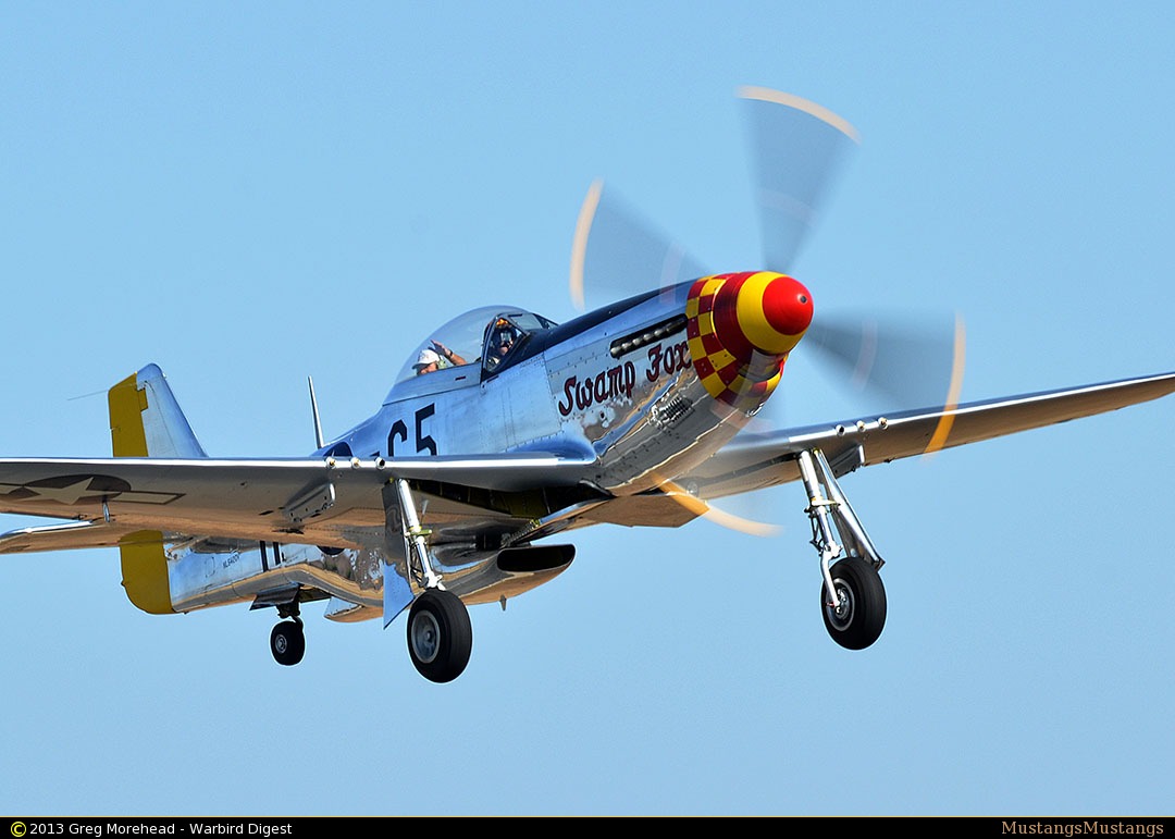 44-74202_9131_gm2.jpg