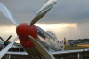 P-51