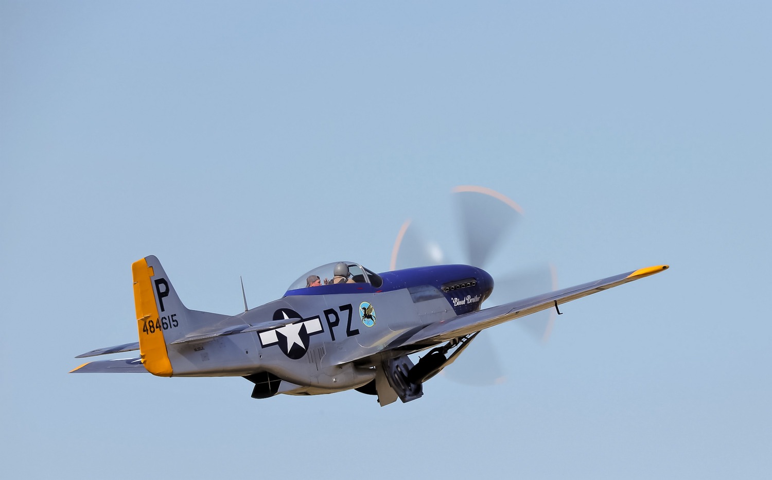 44-84615_10173_gm5.jpg