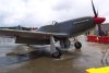 P-51